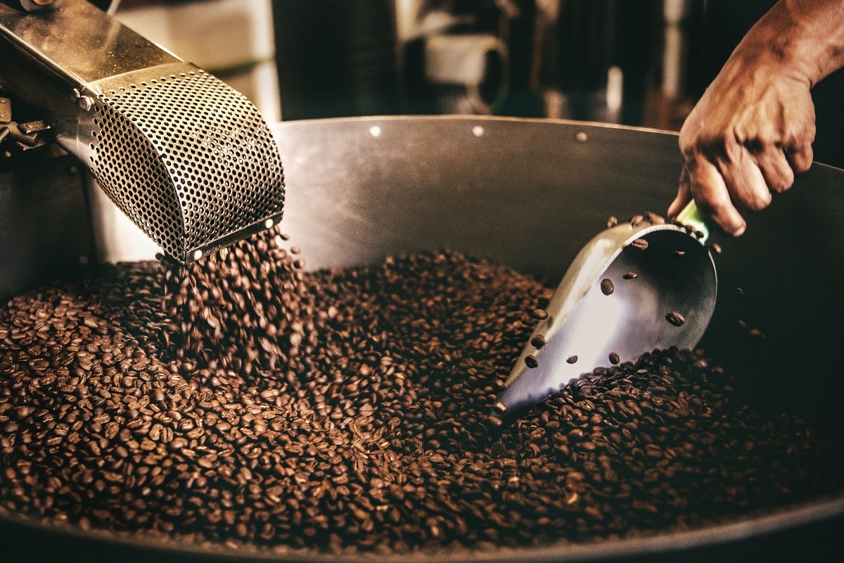ca phe robusta rang