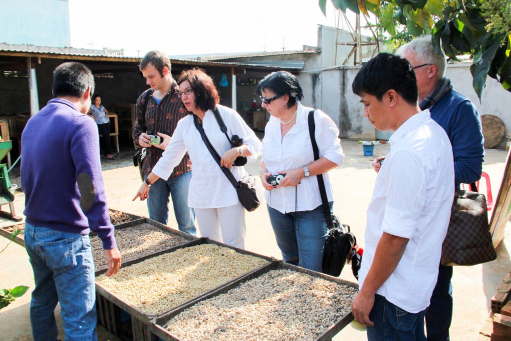 Trại Chồn Quốc Khánh tại Đắk Lắk và Lâm Đồng 4 dulich caphechon caphethat